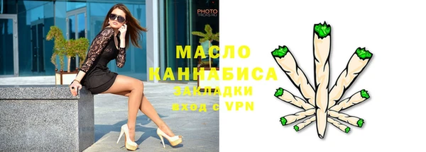 гидра Горнозаводск