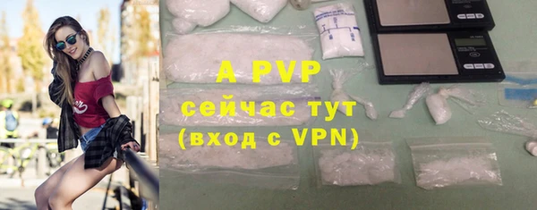 гидра Горнозаводск