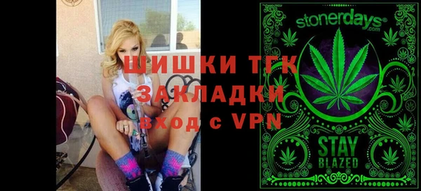 дмт Горняк